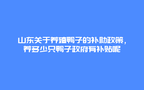 山东关于养殖鸭子的补助政策，养多少只鸭子政府有补贴呢