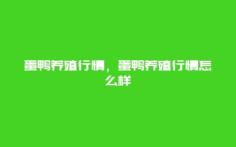 蛋鸭养殖行情，蛋鸭养殖行情怎么样