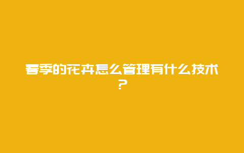 春季的花卉怎么管理有什么技术？