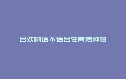 合欢树适不适合在青海种植