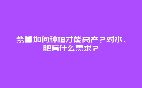 紫薯如何种植才能高产？对水、肥有什么需求？