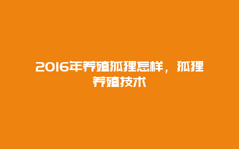 2016年养殖狐狸怎样，狐狸养殖技术