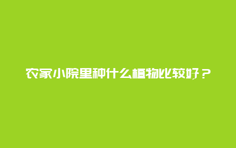 农家小院里种什么植物比较好？