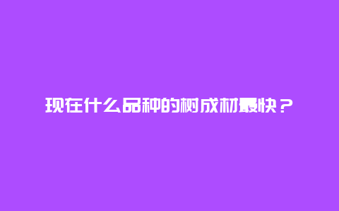 现在什么品种的树成材最快？