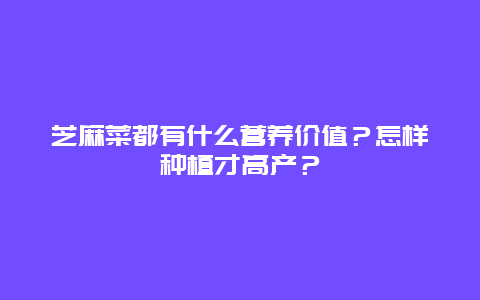 芝麻菜都有什么营养价值？怎样种植才高产？