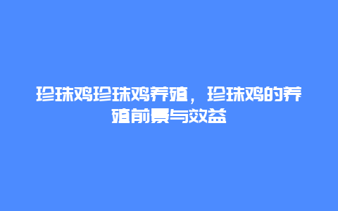 珍珠鸡珍珠鸡养殖，珍珠鸡的养殖前景与效益