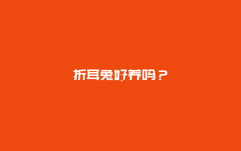 折耳兔好养吗？