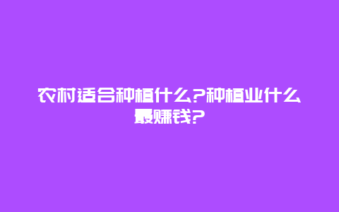 农村适合种植什么?种植业什么最赚钱?