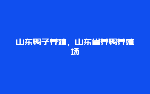 山东鸭子养殖，山东省养鸭养殖场