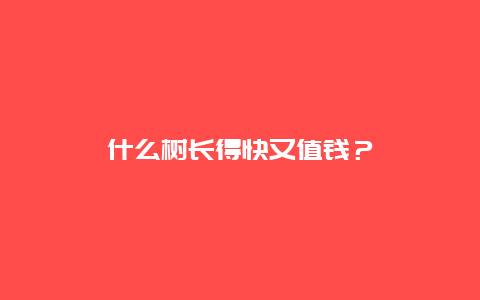 什么树长得快又值钱？