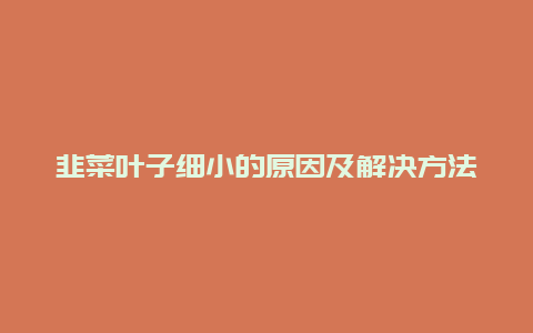 韭菜叶子细小的原因及解决方法