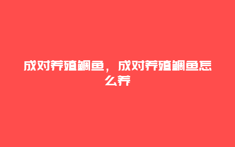 成对养殖鲷鱼，成对养殖鲷鱼怎么养