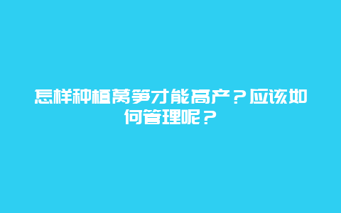 怎样种植莴笋才能高产？应该如何管理呢？