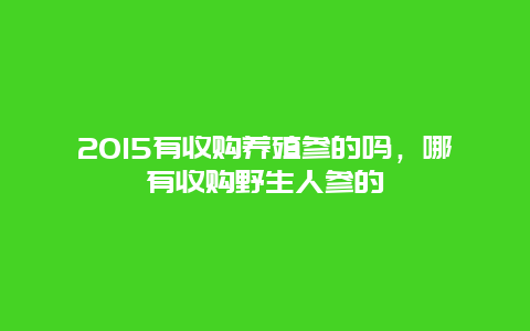 2015有收购养殖参的吗，哪有收购野生人参的