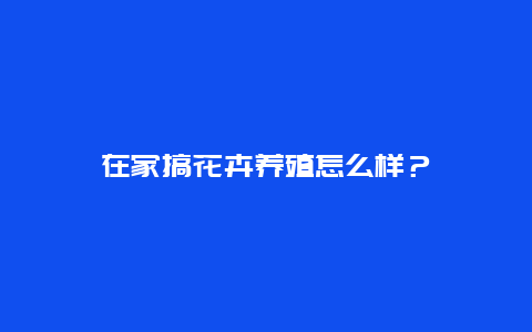 在家搞花卉养殖怎么样？