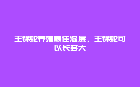 王锦蛇养殖最佳湿度，王锦蛇可以长多大