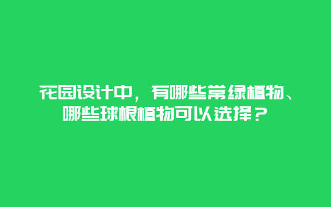 花园设计中，有哪些常绿植物、哪些球根植物可以选择？