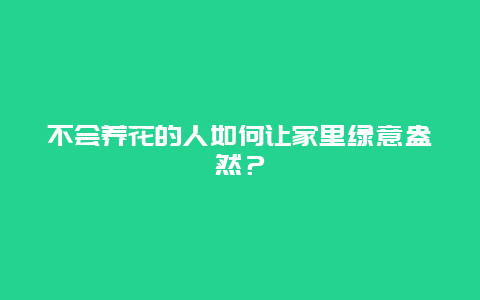 不会养花的人如何让家里绿意盎然？