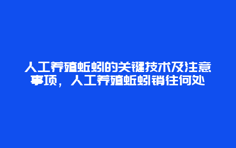 人工养殖蚯蚓的关键技术及注意事项，人工养殖蚯蚓销往何处