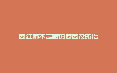 西红柿不定根的原因及防治