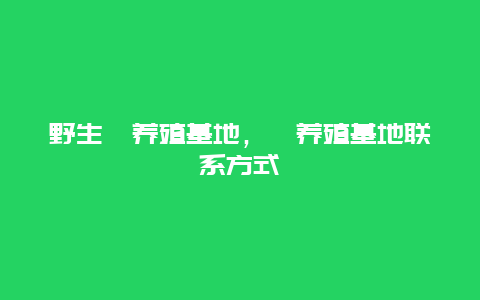 野生獾养殖基地，獾养殖基地联系方式