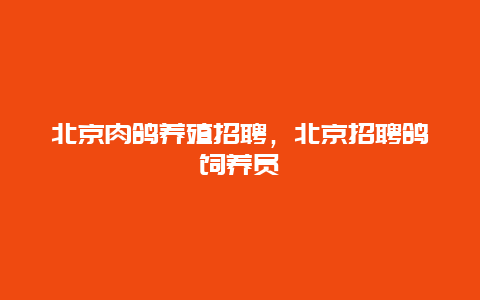 北京肉鸽养殖招聘，北京招聘鸽饲养员