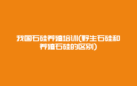 我国石硅养殖培训(野生石硅和养殖石硅的区别)