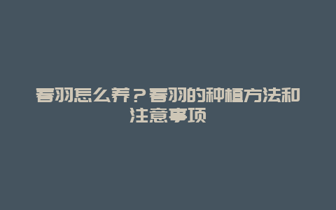 春羽怎么养？春羽的种植方法和注意事项