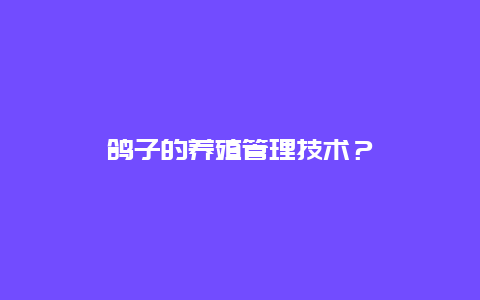 鸽子的养殖管理技术？