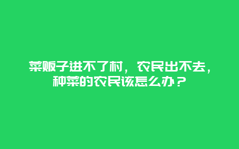 菜贩子进不了村，农民出不去，种菜的农民该怎么办？