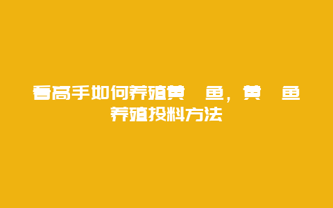 看高手如何养殖黄颡鱼，黄颡鱼养殖投料方法