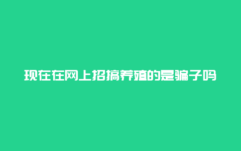 现在在网上招搞养殖的是骗子吗