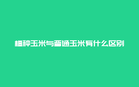 植种玉米与普通玉米有什么区别