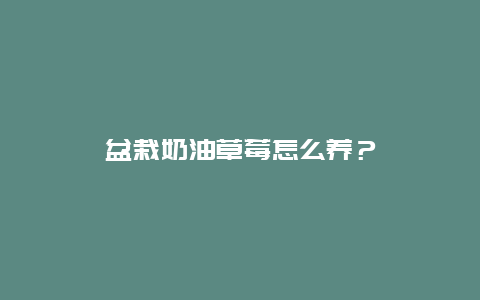 盆栽奶油草莓怎么养？