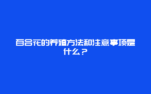 百合花的养殖方法和注意事项是什么？