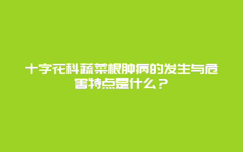 十字花科蔬菜根肿病的发生与危害特点是什么？