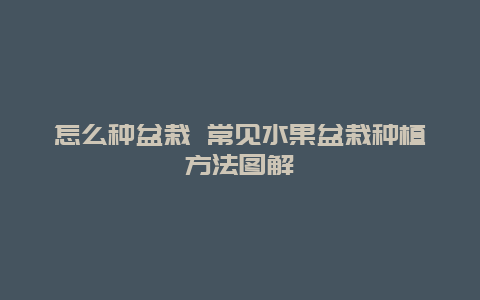 怎么种盆栽 常见水果盆栽种植方法图解