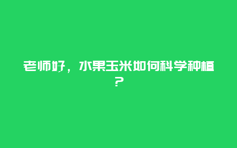 老师好，水果玉米如何科学种植？