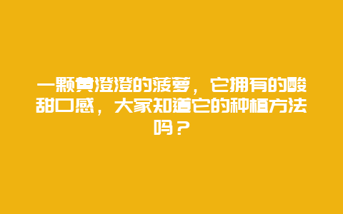 一颗黄澄澄的菠萝，它拥有的酸甜口感，大家知道它的种植方法吗？