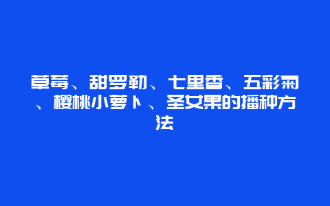 草莓、甜罗勒、七里香、五彩菊、樱桃小萝卜、圣女果的播种方法