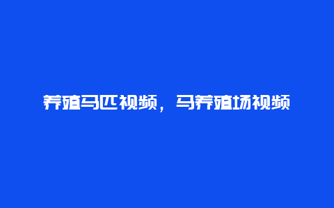 养殖马匹视频，马养殖场视频