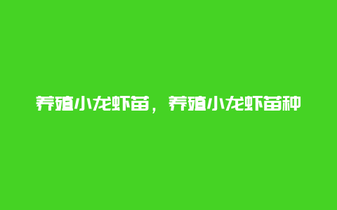 养殖小龙虾苗，养殖小龙虾苗种