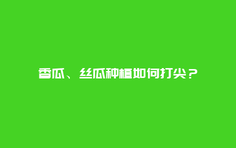 香瓜、丝瓜种植如何打尖？