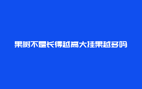 果树不是长得越高大挂果越多吗