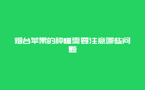 烟台苹果的种植需要注意哪些问题