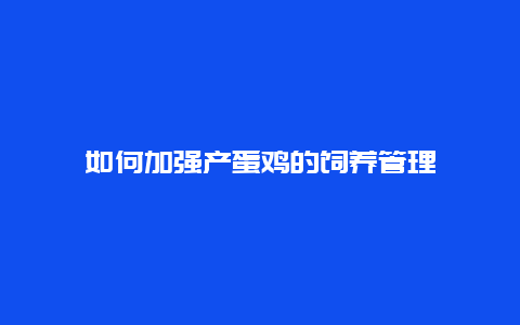 如何加强产蛋鸡的饲养管理