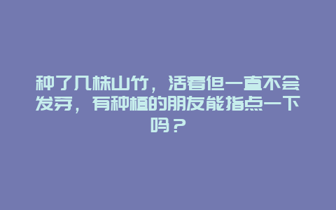 种了几株山竹，活着但一直不会发芽，有种植的朋友能指点一下吗？