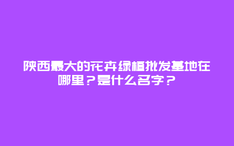 陕西最大的花卉绿植批发基地在哪里？是什么名字？