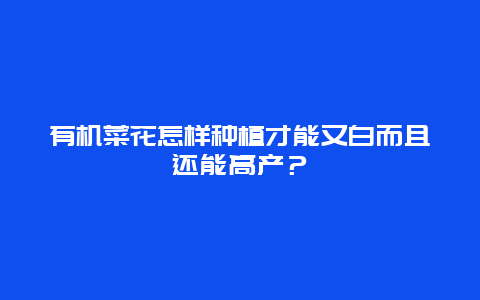 有机菜花怎样种植才能又白而且还能高产？