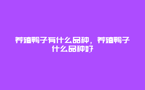 养殖鸭子有什么品种，养殖鸭子什么品种好